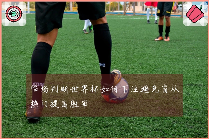 临场判断世界杯如何下注避免盲从热门提高胜率