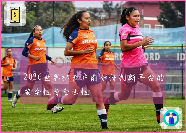 2026世界杯开户前如何判断平台的安全性与合法性