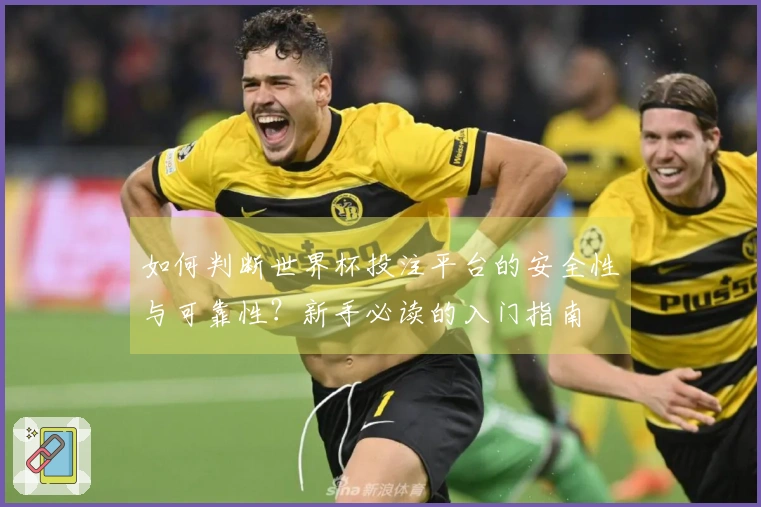 如何判断世界杯投注平台的安全性与可靠性？新手必读的入门指南