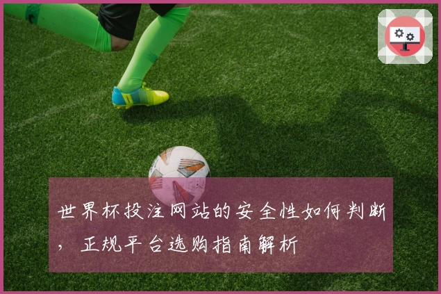 世界杯投注网站的安全性如何判断，正规平台选购指南解析