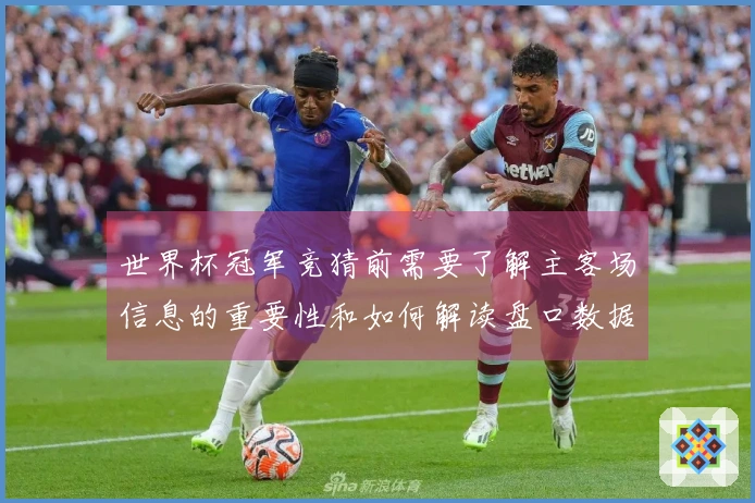 世界杯冠军竞猜前需要了解主客场信息的重要性和如何解读盘口数据