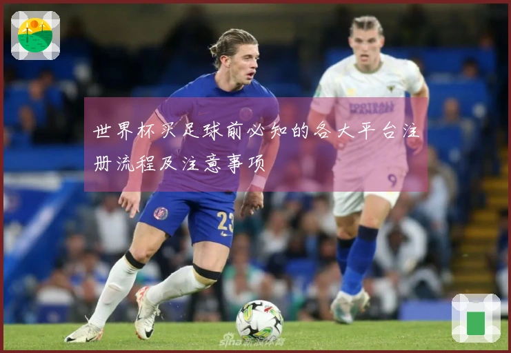 世界杯买足球前必知的各大平台注册流程及注意事项