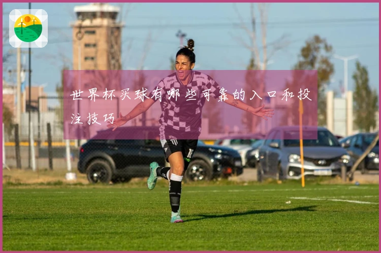 世界杯买球有哪些可靠的入口和投注技巧