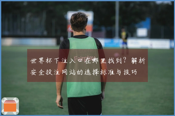 世界杯下注入口在哪里找到？解析安全投注网站的选择标准与技巧