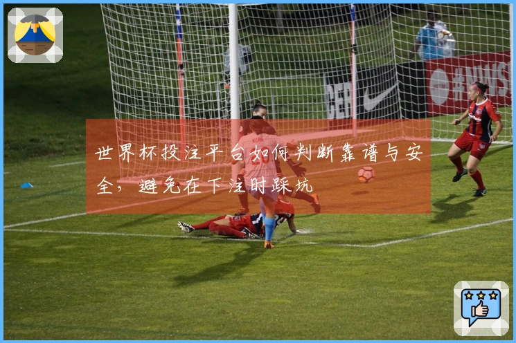 世界杯投注平台如何判断靠谱与安全，避免在下注时踩坑