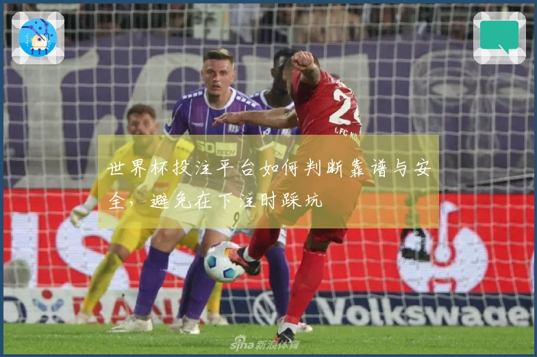 世界杯投注平台如何判断靠谱与安全，避免在下注时踩坑