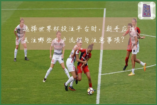 选择世界杯投注平台时，新手应该关注哪些开户流程与注意事项？