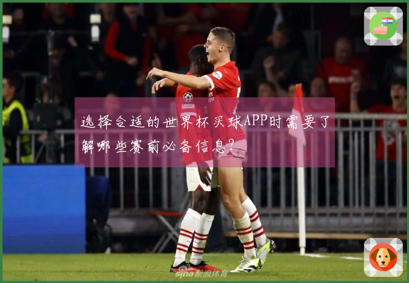 选择合适的世界杯买球APP时需要了解哪些赛前必备信息？