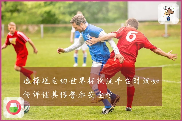 选择适合的世界杯投注平台时该如何评估其信誉和安全性