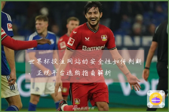 世界杯投注网站的安全性如何判断，正规平台选购指南解析