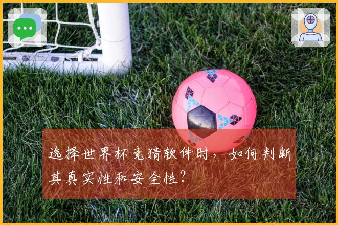 选择世界杯竞猜软件时，如何判断其真实性和安全性？