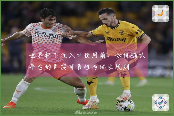 世界杯下注入口使用前，如何确认平台的真实可靠性与玩法规则