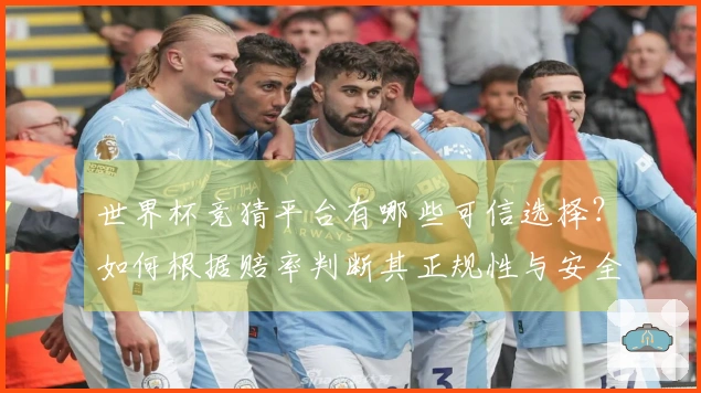 世界杯竞猜平台有哪些可信选择？如何根据赔率判断其正规性与安全性？