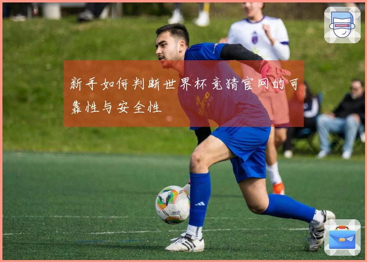 新手如何判断世界杯竞猜官网的可靠性与安全性