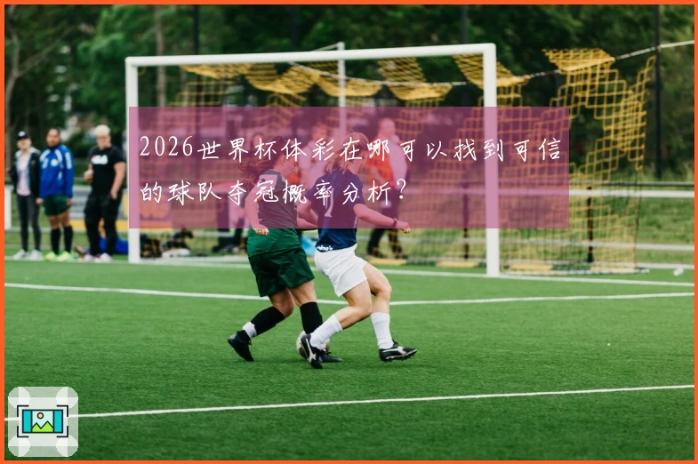 2026世界杯体彩在哪可以找到可信的球队夺冠概率分析？