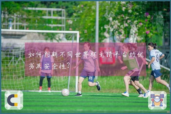 如何判断不同世界杯竞猜平台的优劣及安全性？