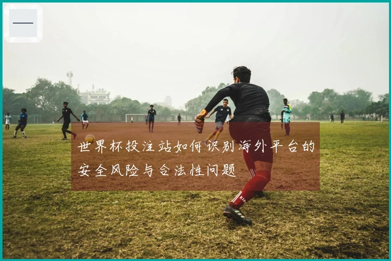 世界杯投注站如何识别海外平台的安全风险与合法性问题
