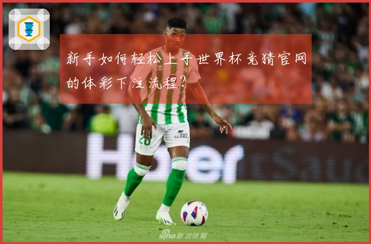 新手如何轻松上手世界杯竞猜官网的体彩下注流程？