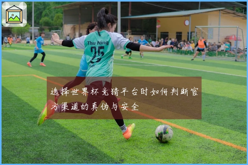 选择世界杯竞猜平台时如何判断官方渠道的真伪与安全