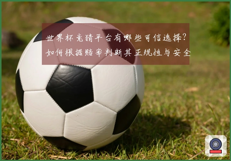 世界杯竞猜平台有哪些可信选择？如何根据赔率判断其正规性与安全性？