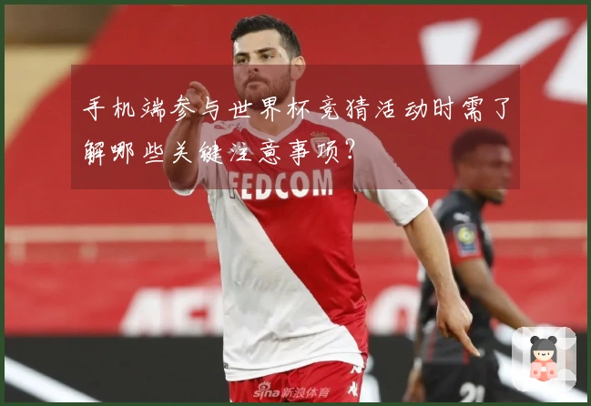 手机端参与世界杯竞猜活动时需了解哪些关键注意事项？