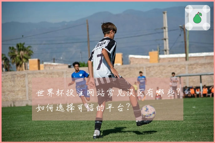 世界杯投注网站常见误区有哪些？如何选择可信的平台？