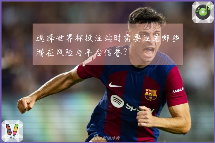 选择世界杯投注站时需要注意哪些潜在风险与平台信誉？