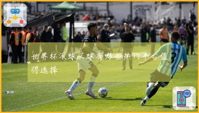 世界杯滚球买球有哪些热门平台值得选择