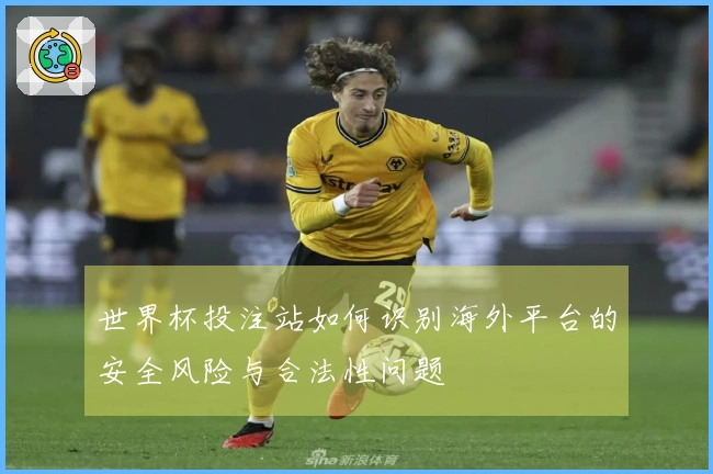 世界杯投注站如何识别海外平台的安全风险与合法性问题
